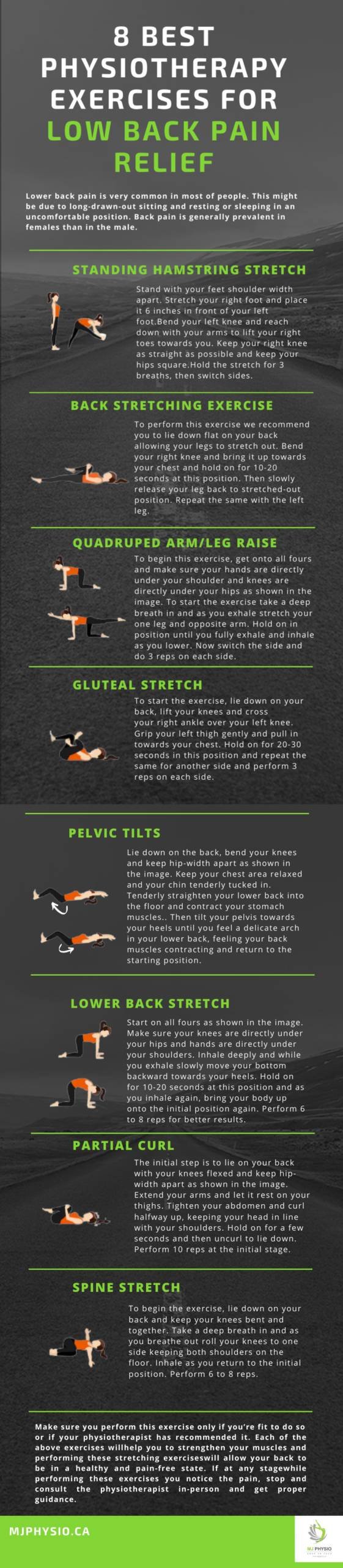 Physiotherapy Exercises for Lower Back Pain